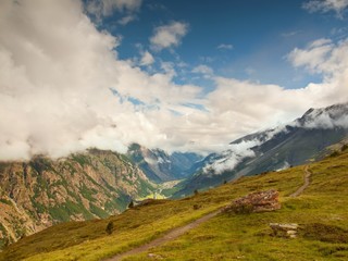 Fresh green meadow and misty peaks of Alps mountains