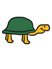 Süße Niedliche kleine Schildkröte