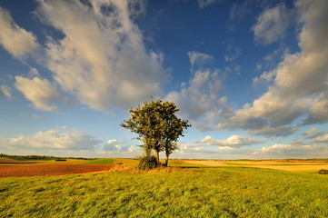 Krajobraz wiejski © janmiko