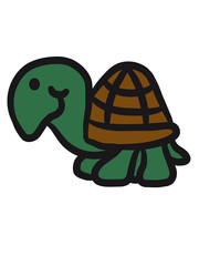 Süße niedliche kleine baby Schildkröte