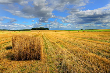 krajobraz wiejski, po żniwach © janmiko