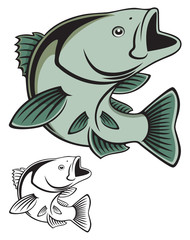 sea bass