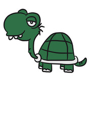 Dumme hässliche lustige Schildkröte