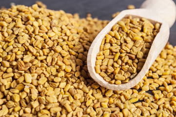 wooden scoop with fenugreek seeds © Oliver Wilde
