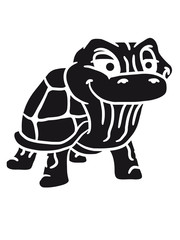 Fototapeta premium Coole kleine alte lustige Schildkröte