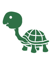 Niedliche kleine süße Schildkröte