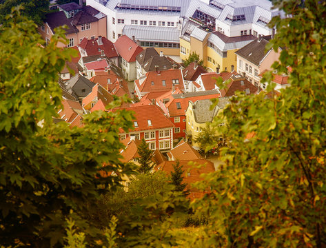 Scandinavian homes between trees