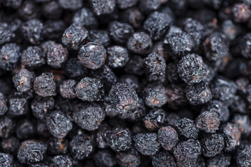 Chokeberries Background