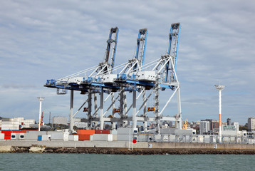 Fototapeta premium Container Terminal