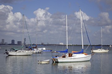 Fototapeta premium Sailboats at Anchor