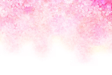 Fototapeta premium 桜 年賀状 背景