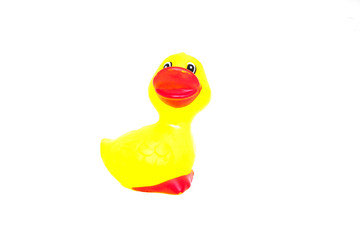 Duck toy with white background