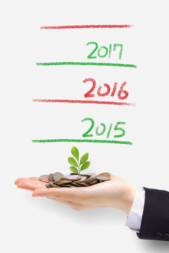 money tree grow up in new year