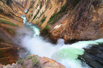 Yellowstone - Grand Canyon / Lower Falls