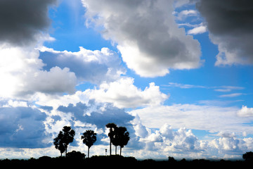 Fototapeta na wymiar Blue sky with clouds over the tree