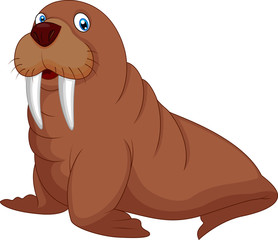 Cartoon walrus