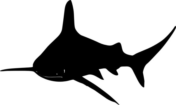 recommend clip art: shark