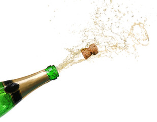 Champagne splashes isolated on white