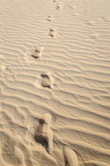 Sahara Desert, Tunisia