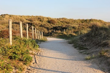 Weg in den Dünen