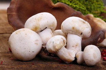 Champignons e cardoncelli