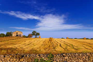 Paesaggio rurale:balle di fieno.-ITALIA(Puglia)-