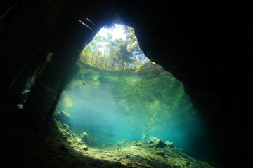 Entrance of cenote underwater cave