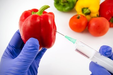 Man with gloves working with pepper in genetic engineering labor