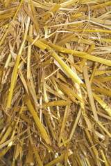 Werkstoff und Futtermittel-Stroh-I-