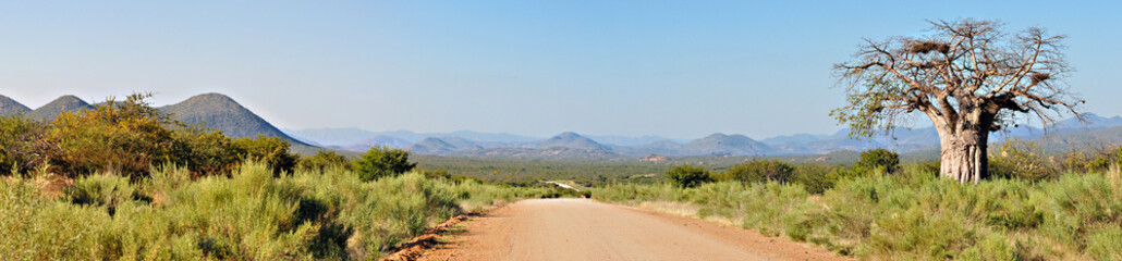 Fototapeta na wymiar Kaokoveld panorama