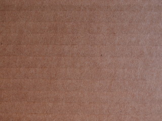 Fototapeta premium corrugated cardboard blank sheet