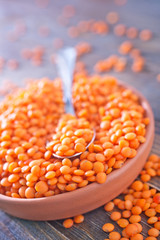 lentil