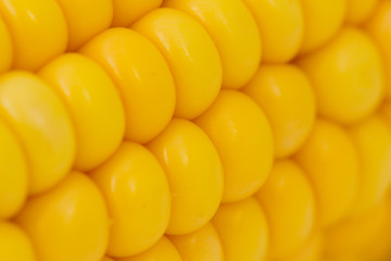 Corn abstract