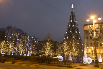 Christmas tree, Moscow