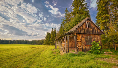 Discarded wooden cabin