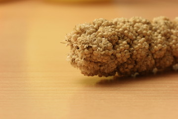 Macro of millet cob lying on wooden surface