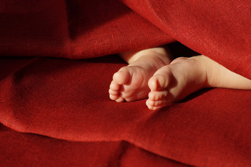 the feet of the baby in the blanket