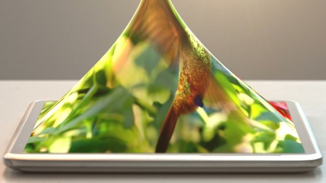tablet pc and humming-bird, 3d animation, 4K