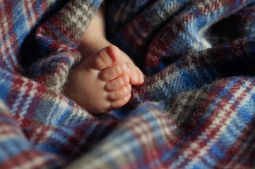 Fototapeta na wymiar Baby feet under blanket
