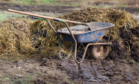 Natural manure