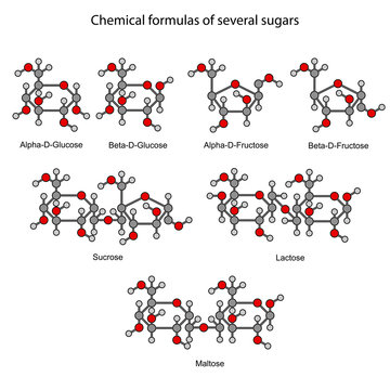 Structural chemical formulas of some sugars