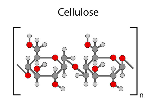 Structural chemical formula of cellulose polymer
