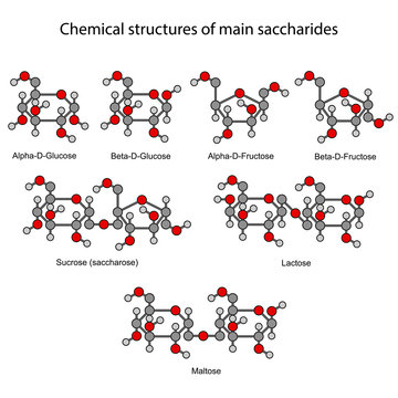 Chemical formulas of main sugars: mono- and disaccharides
