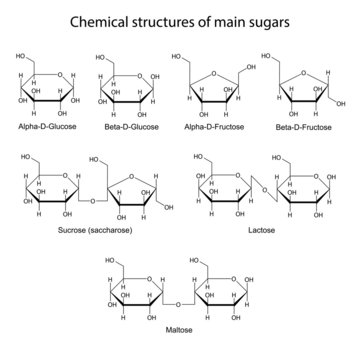 Chemical structures of main sugars: mono- and disaccharides