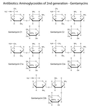 Chemical formulas of aminoglycoside antibiotics - gentamycins