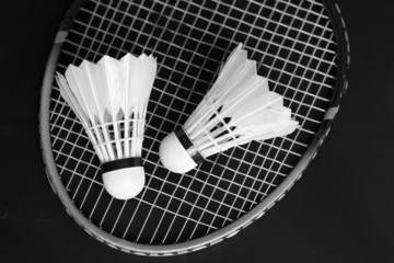 Badminton sport