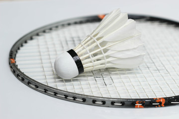 Badminton new shuttelcock