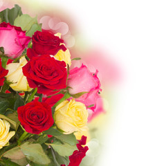 bouquet of fresh multicolored  roses