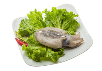 Raw cuttlefish