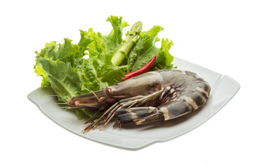 Tiger prawn
